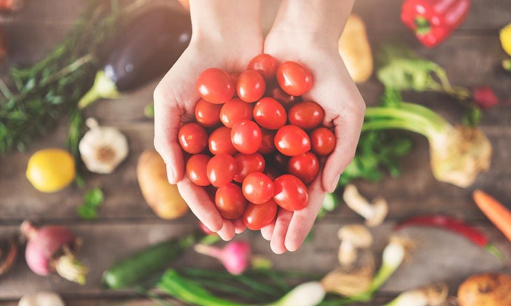 pepinillos en vinagre para dieta